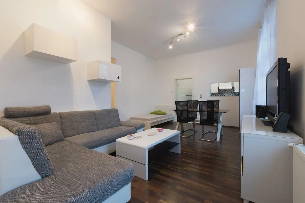 Spacious Apartment In Center With Terrace Vienna