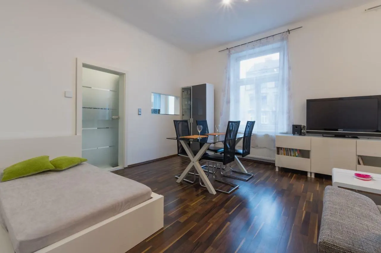 Spacious Apartment In Center With Terrace Vienna 0*,  Austria